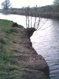 Trenchards Sluice, Old stone work below M5 bridge